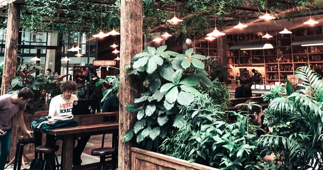 Ein Cafe mit vielen Pflanzen, sodass ein Dschungel-Feeling geweckt wird