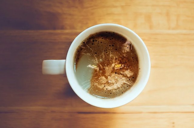 Eine Kaffeetasse steht inmitten des Bildes. In dem Schaum befindet sich das Gesicht einer grimmig dreinblickenden Katze.