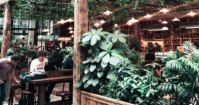 Greenery / Urban Jungle Ein Cafe mit vielen Pflanzen, sodass ein Dschungel-Feeling geweckt wird